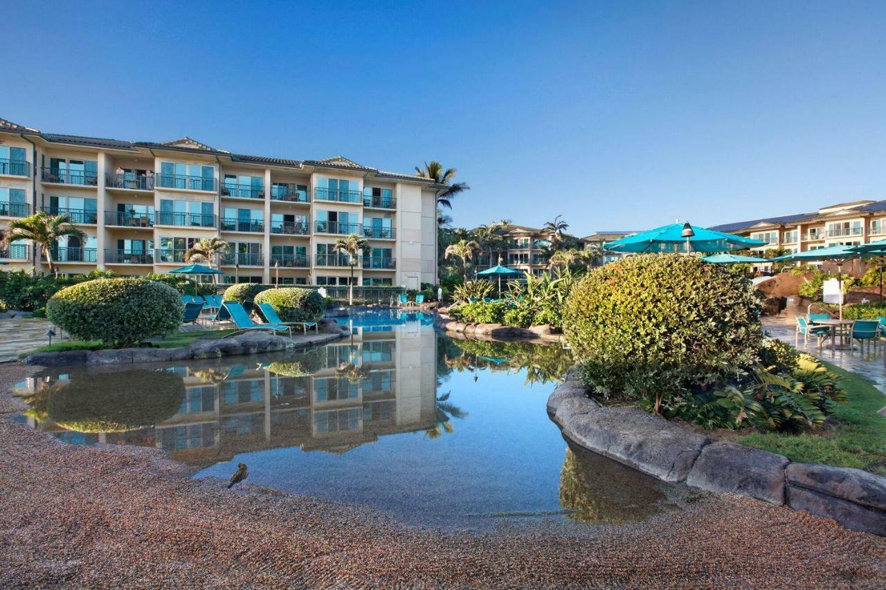 Waipouli Beach Resort Beautiful Luxury Ground Level Garden View Ac Pool! Kapa'a Εξωτερικό φωτογραφία